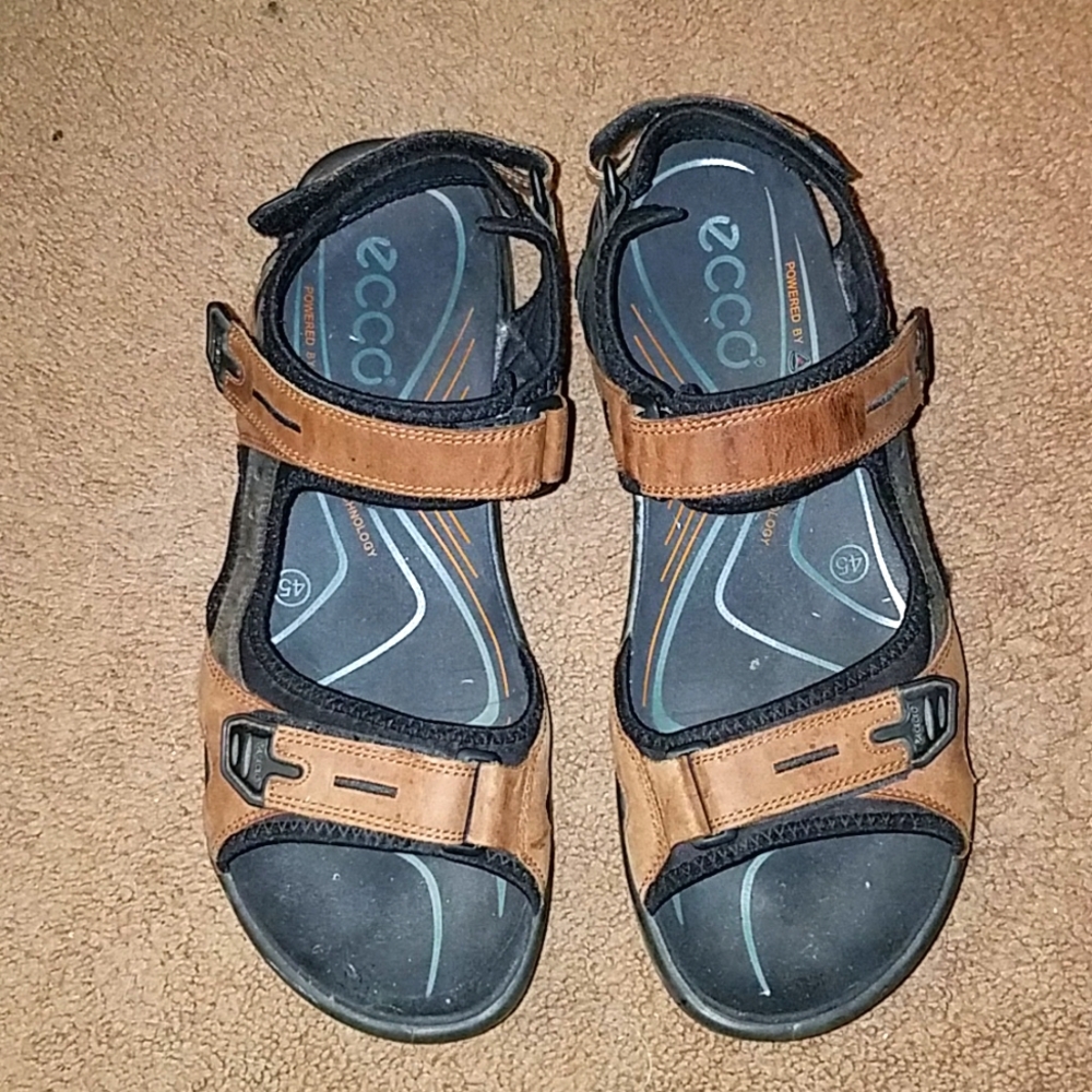 Ecco mens sandala
